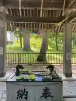 美幌神社の手水舎