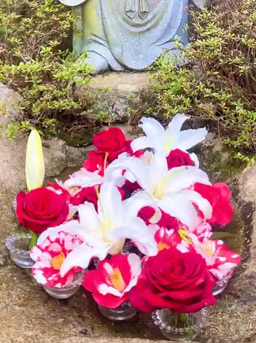 高龍寺(愛媛県)