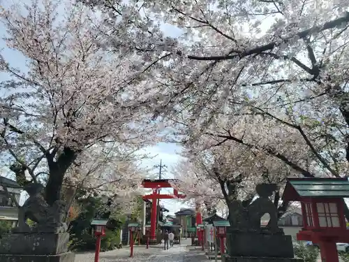 鷲宮神社(埼玉県)