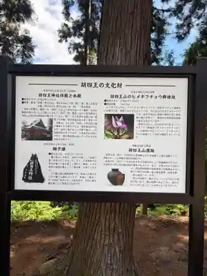 胡四王神社(岩手県)