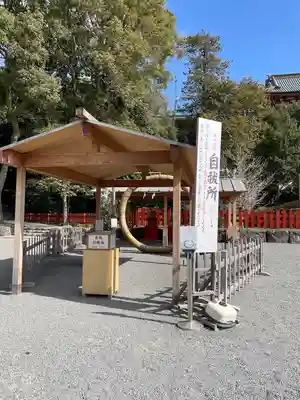 鶴岡八幡宮(神奈川県)