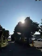 進雄神社(群馬県)