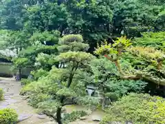 大樹寺（松安院大樹寺）(愛知県)