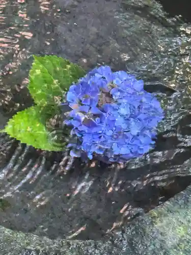 平泉寺白山神社(福井県)