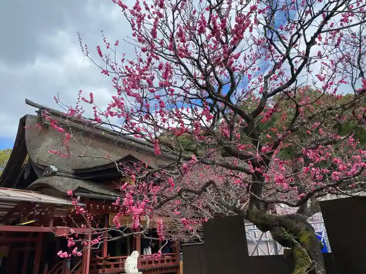 太宰府天満宮の自然