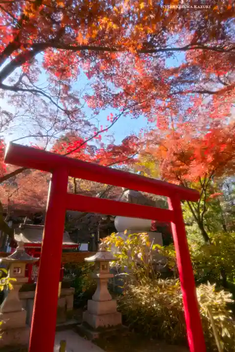 高幡不動尊 金剛寺(東京都)