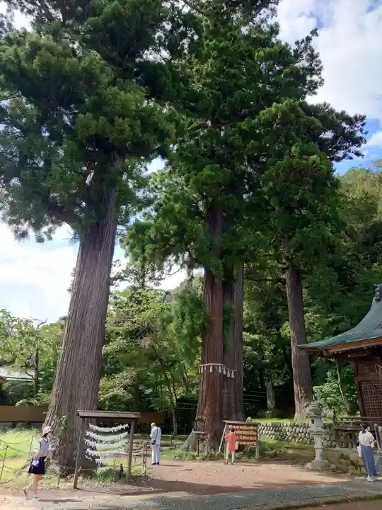 日枝神社(静岡県)