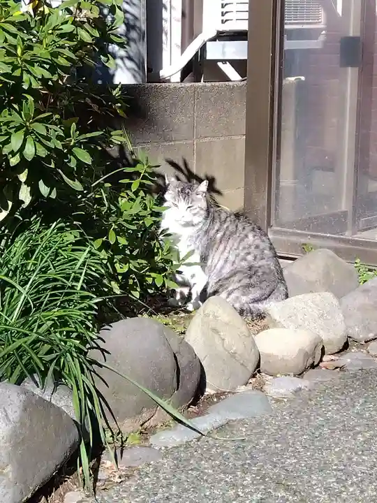 杉杜白髭神社(福井県)