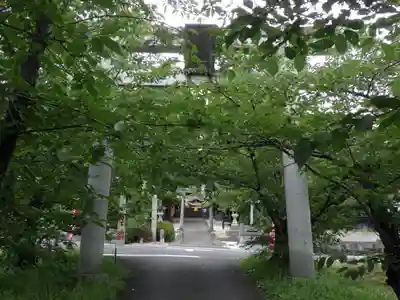 諏訪神社の鳥居