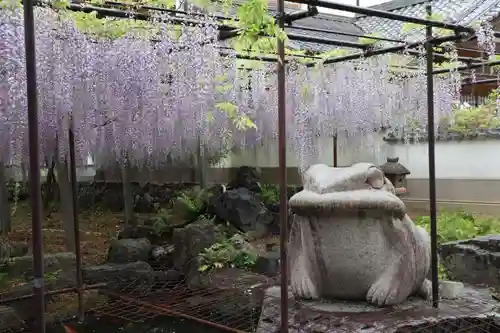 長泉寺の狛犬