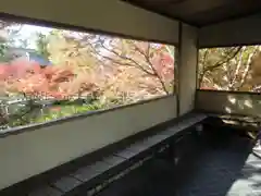 禅林寺（永観堂）の建物その他