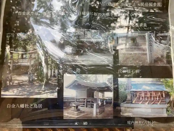 八幡社(白金八幡社)(長野県)