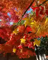 滑川神社 - 仕事と子どもの守り神の自然