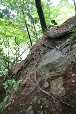 武蔵御嶽神社奥の院(東京都)