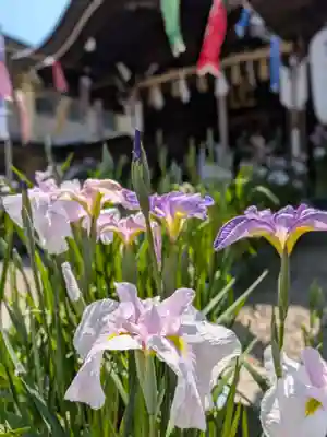 磐井神社(東京都)