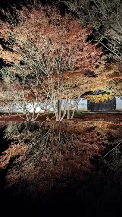 妙覺寺(妙覚寺)(京都府)