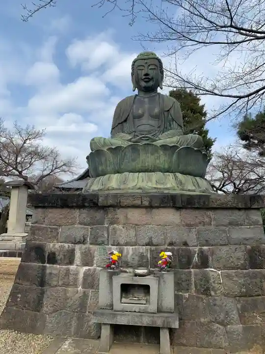 護国寺(東京都)