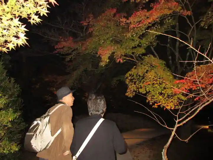 将軍塚青龍殿(青蓮院門跡)の自然