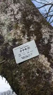 熊野社(愛知県)