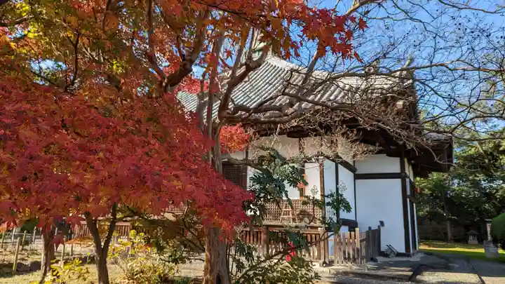 乙訓寺(京都府)