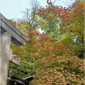 彌彦神社 (伊夜日子神社)の自然(2025年10月07日(火) 09時49分48秒投稿)