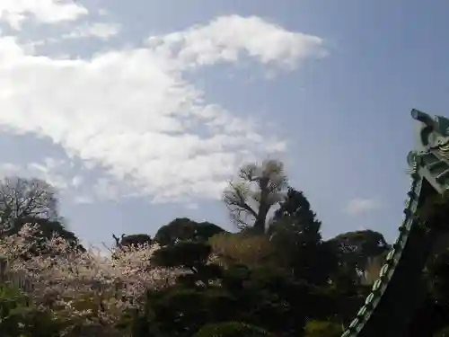 長谷寺のその他建物