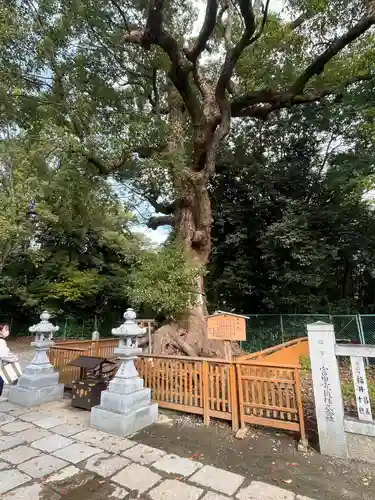 和泉國一之宮　大鳥大社(大阪府)