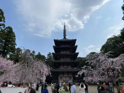 醍醐寺(京都府)