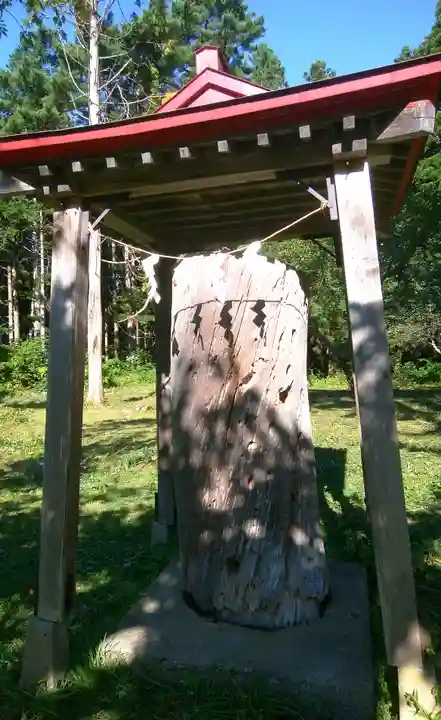 矢不来天満宮の自然