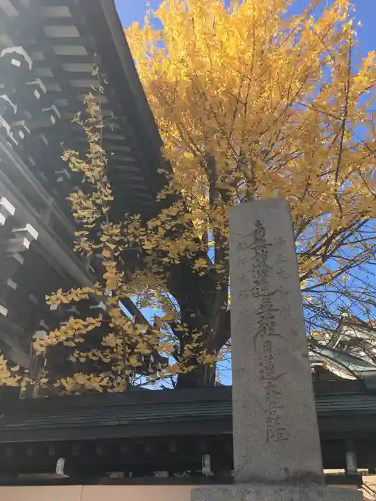 本龍寺(北海道)