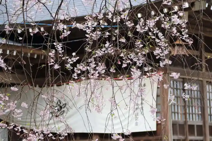 王宮伊豆神社の自然