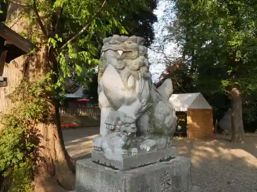 岩槻久伊豆神社の狛犬