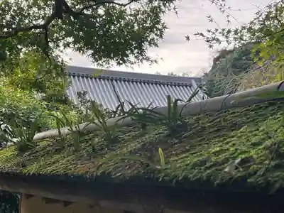 円覚寺(神奈川県)
