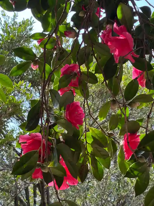 楠木神社(茨城県)