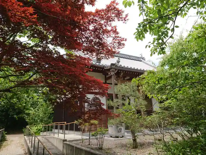 円福寺のその他建物