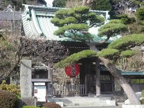 長谷寺の山門