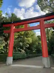 井草八幡宮の鳥居