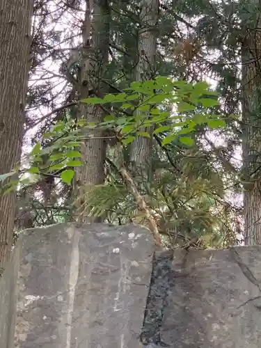 八坂神社(岩手県)