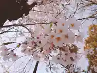 羽黒神社の自然