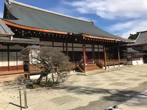 聖護院門跡の本殿・本堂