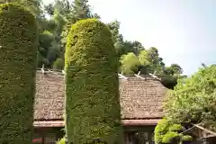 八王寺の建物その他