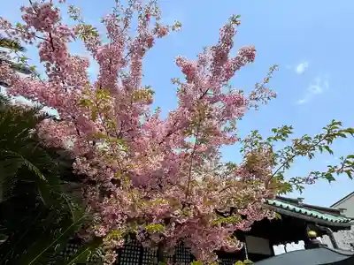 長宝寺(大阪府)
