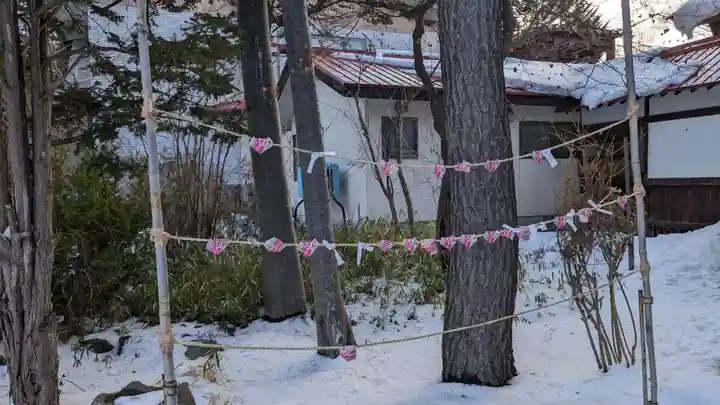 多賀神社のおみくじ