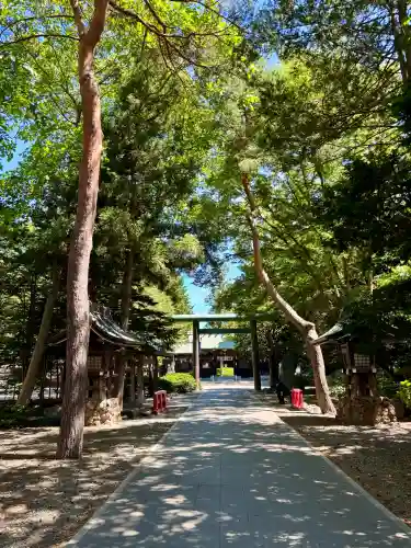 琴似神社(北海道)