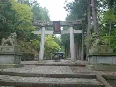 日枝神社の鳥居