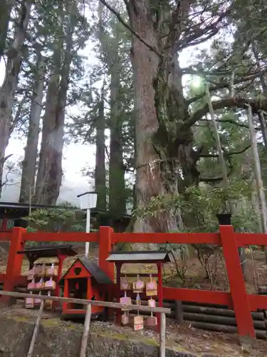 日光二荒山神社の自然