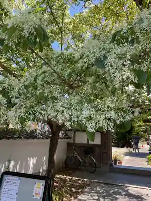 井際山 如意輪寺(愛知県)