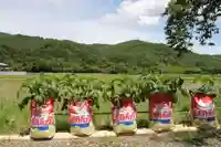 高司神社〜むすびの神の鎮まる社〜の授与品その他