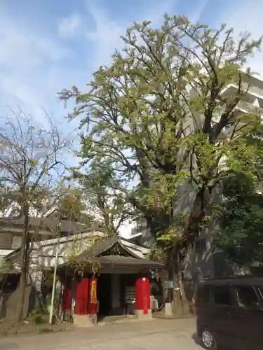 品川寺(東京都)