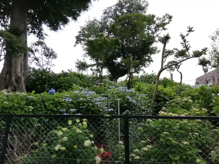 白山神社の庭園